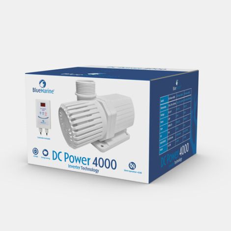 blue marine dc power 4000