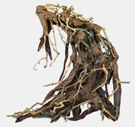 Bonsai root large