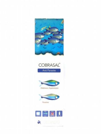 Colombo Marine  Cobrasal