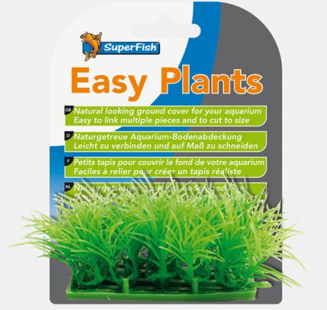 easy plantscarpet S 2cm