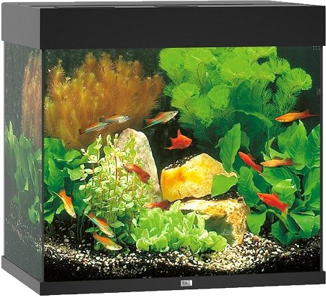 Juwel aquarium Lido 120 LED met filter, zwart.