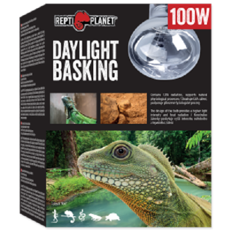 RP Daylight basking spot 100W