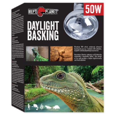 RP Daylight basking spot 50W