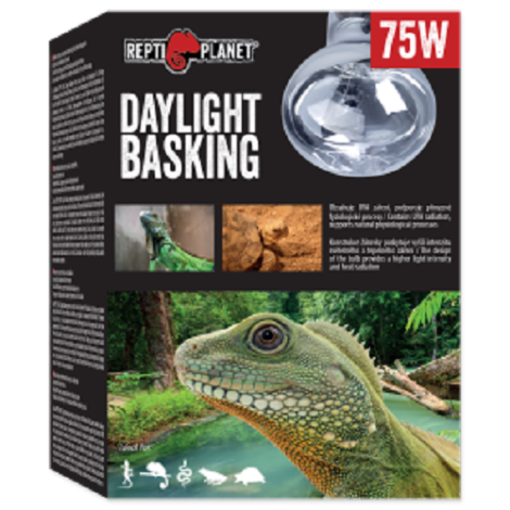 RP Daylight basking spot 75W