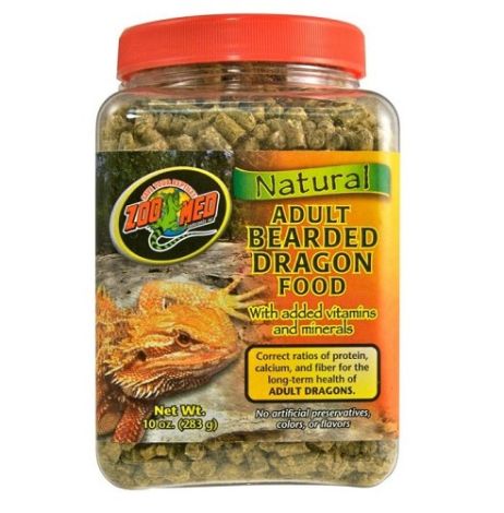 Zoomed natural adult bearded dragon food