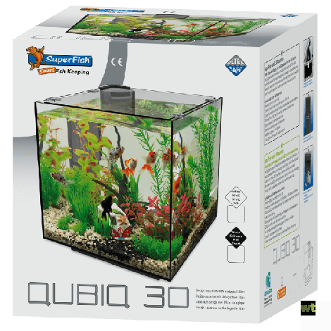 tiener Super goed Zie insecten Nano Aquarium Kopen