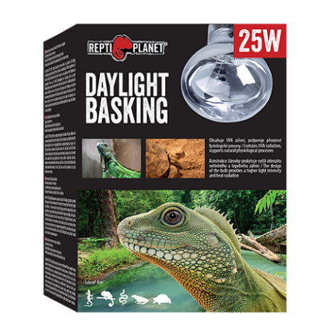 RP Daylight basking spot 25W