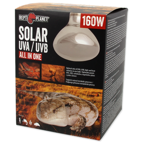 rP SOLAR 160 W ALL IN  ONE