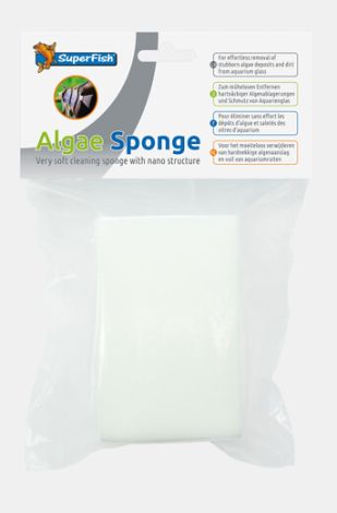 sf algae sponge