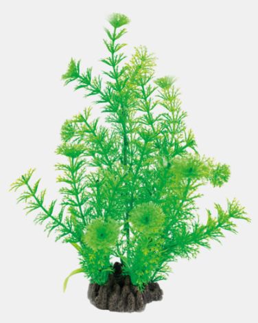 sf art plant  25 cm cabomba