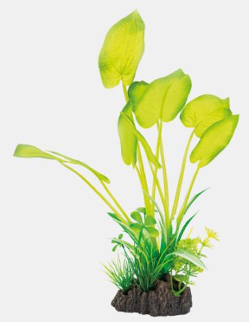 sf art plant 25 cm echinodorus