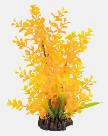 sf art plant  25 cm ludwigia orange