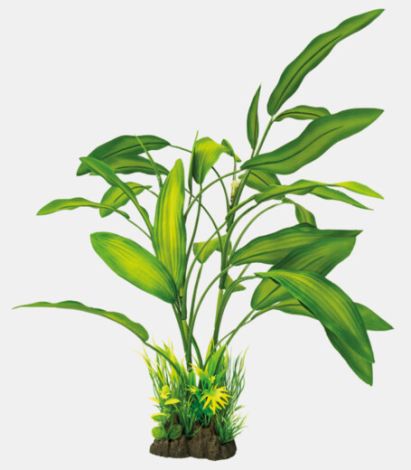 sf art plant cryptocoryne 40 cm