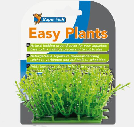 sf easy plant carpetm =3cm