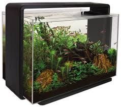 sf home 110 aquarium zwart