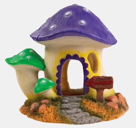 sf mushroom house m