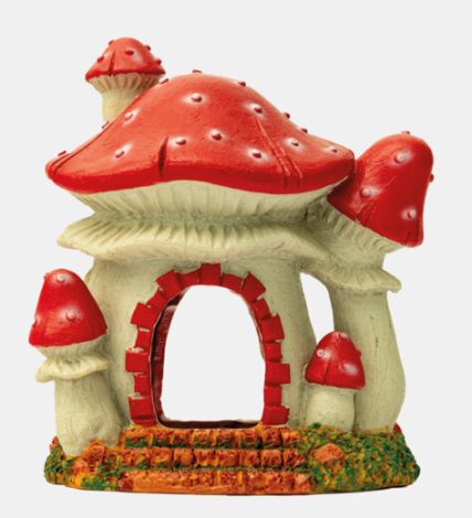 sf mushroom house s