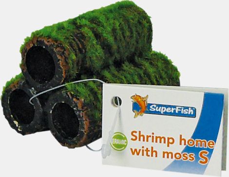 Shrimp home with moss
