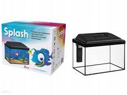 splash aquarium