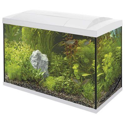 superfish start 100 tropical kit wit