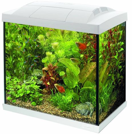 superfish start 30 tropical kit wit