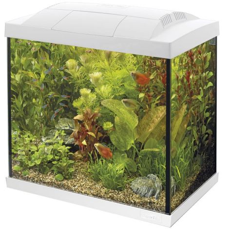 superfish start 50 led tropical kit wit