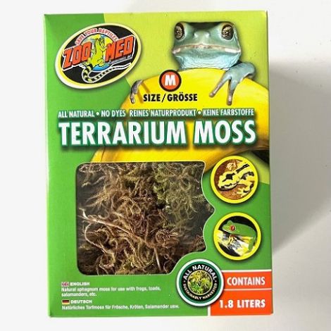 Terrarium moss med
